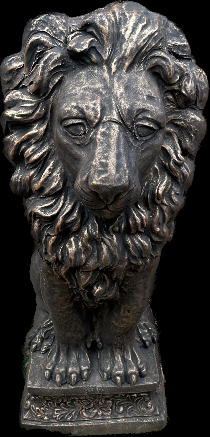 Big lion