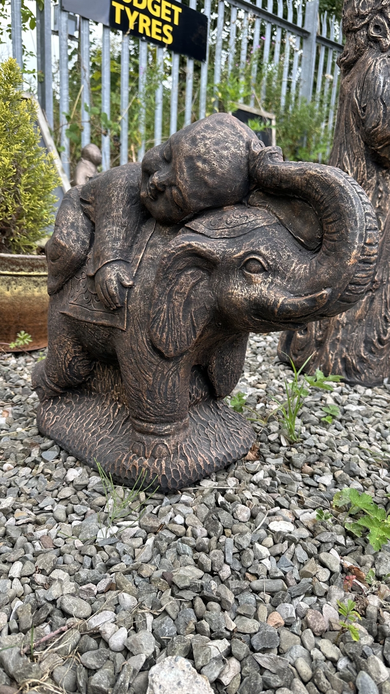 Boy on Elephant