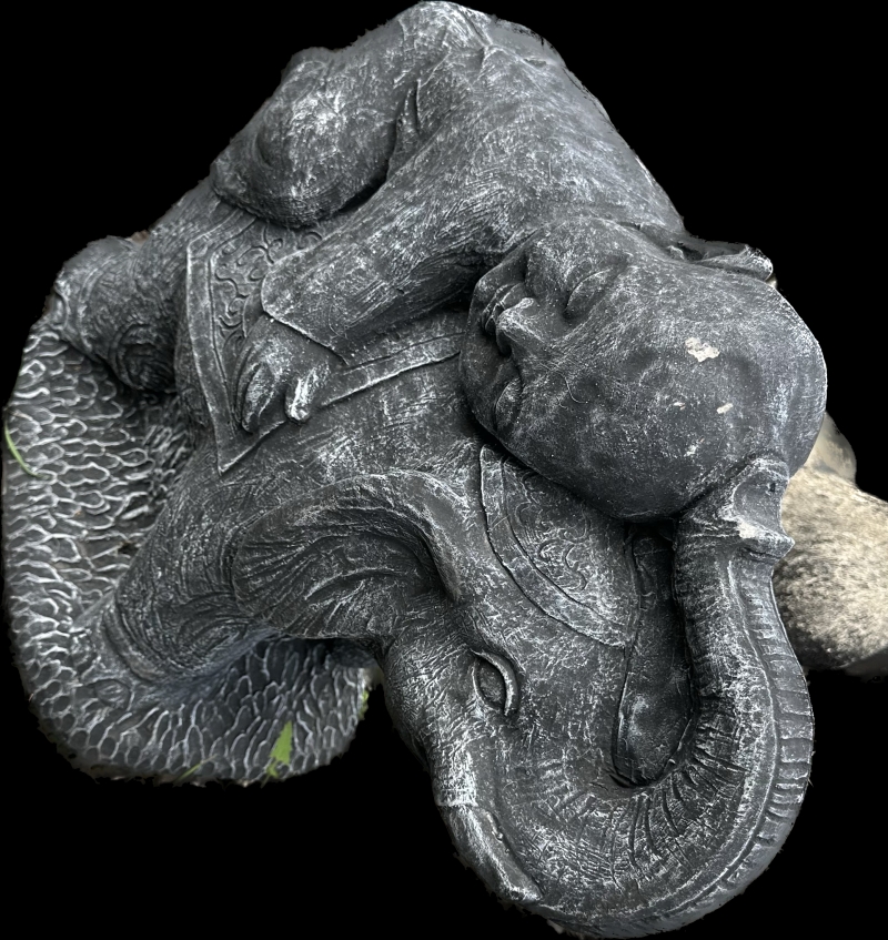 Boy on Elephant