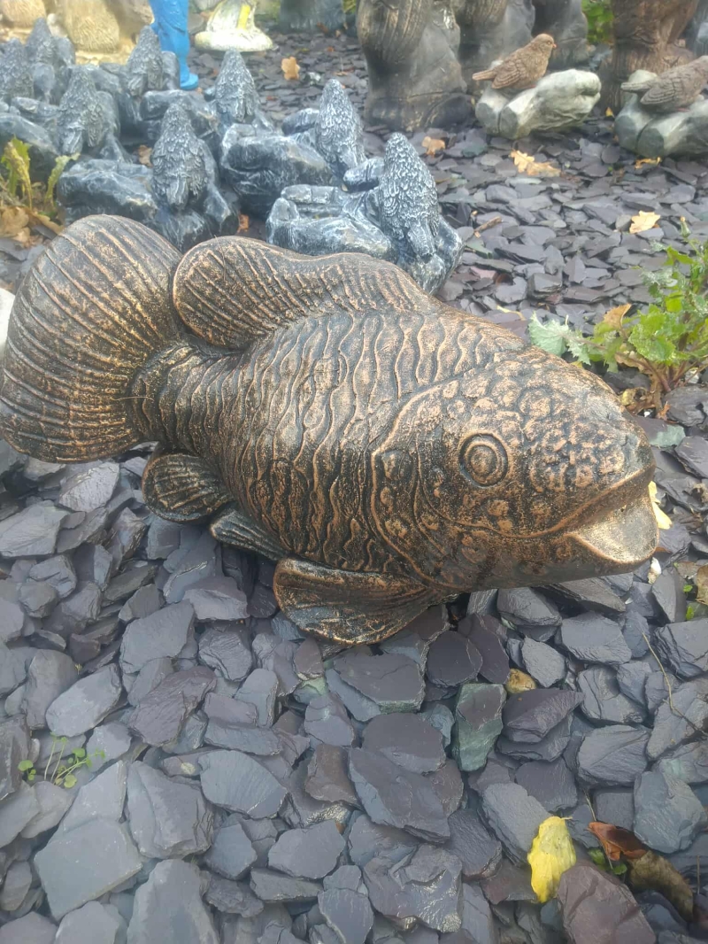 bronze fish