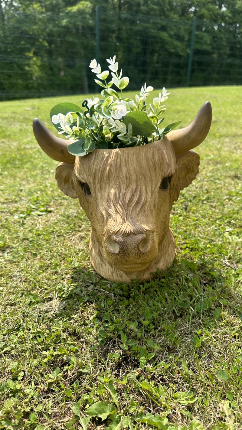Cow Head Panter