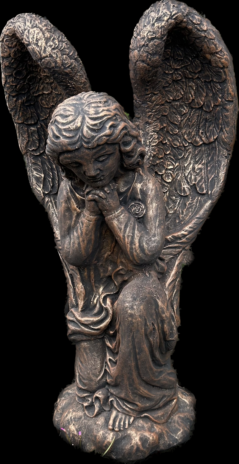 Dreaming Angel 