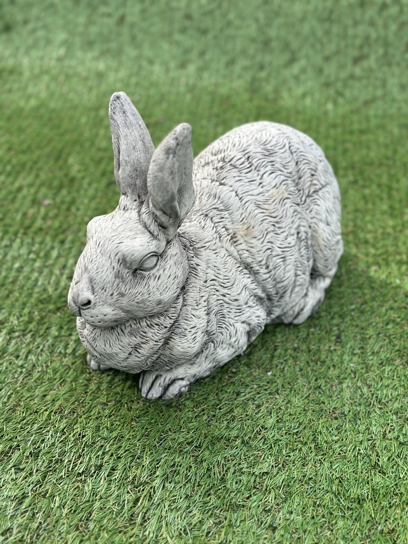 Ears up Bunny