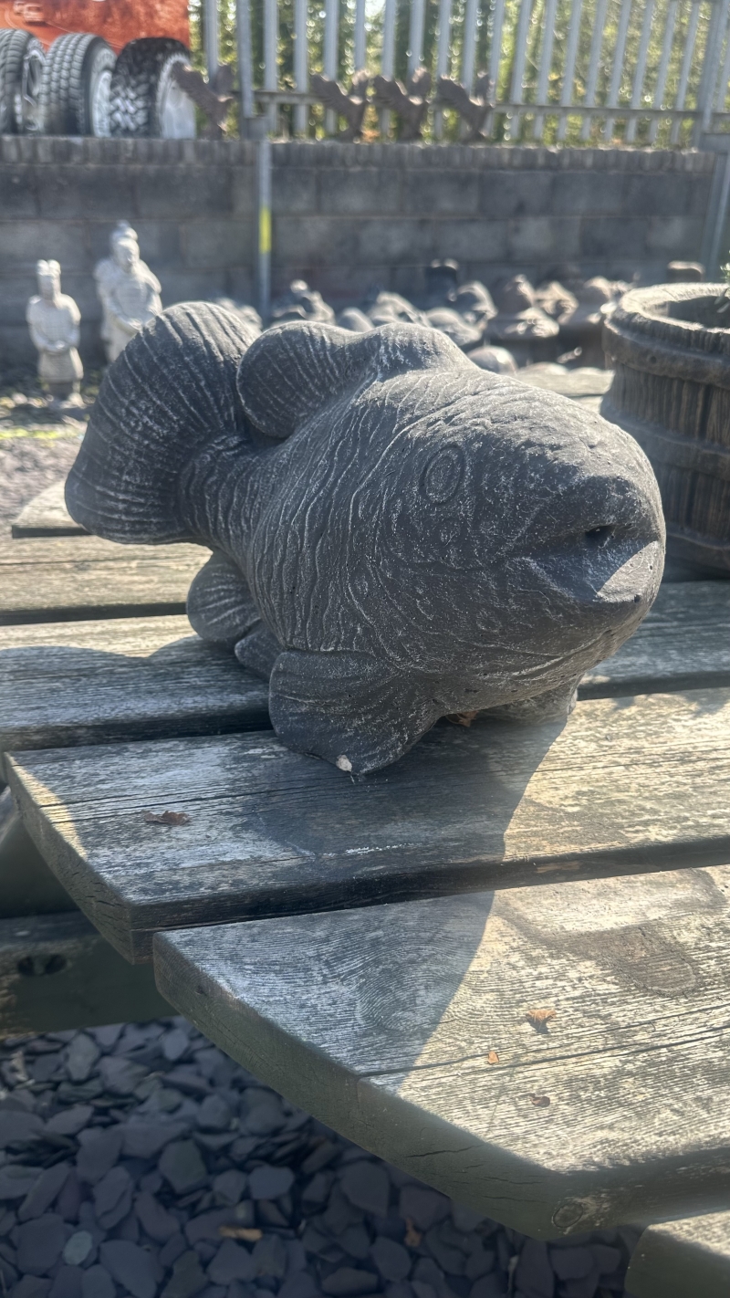 Fish