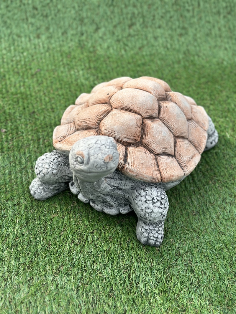 Giant Tortoise