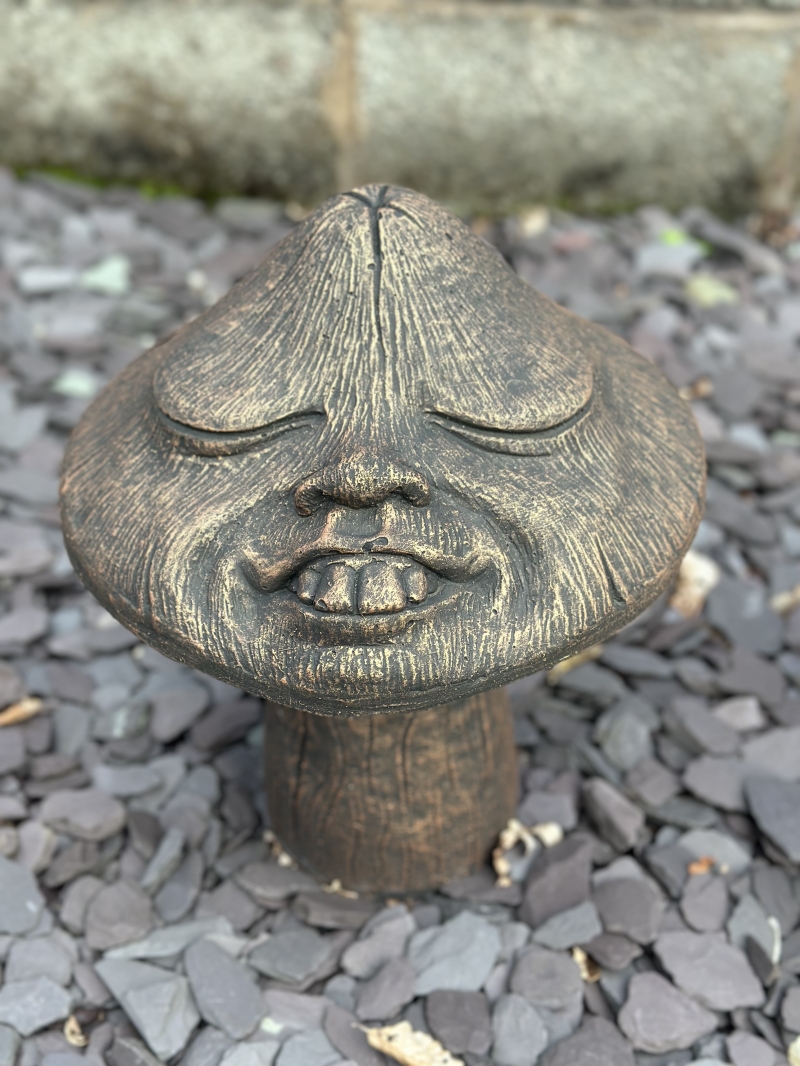 Goofy Mushroom