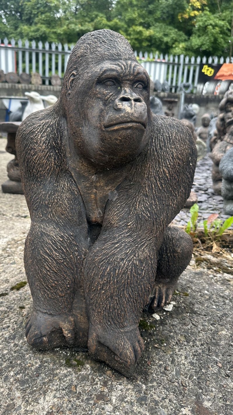 Gorilla