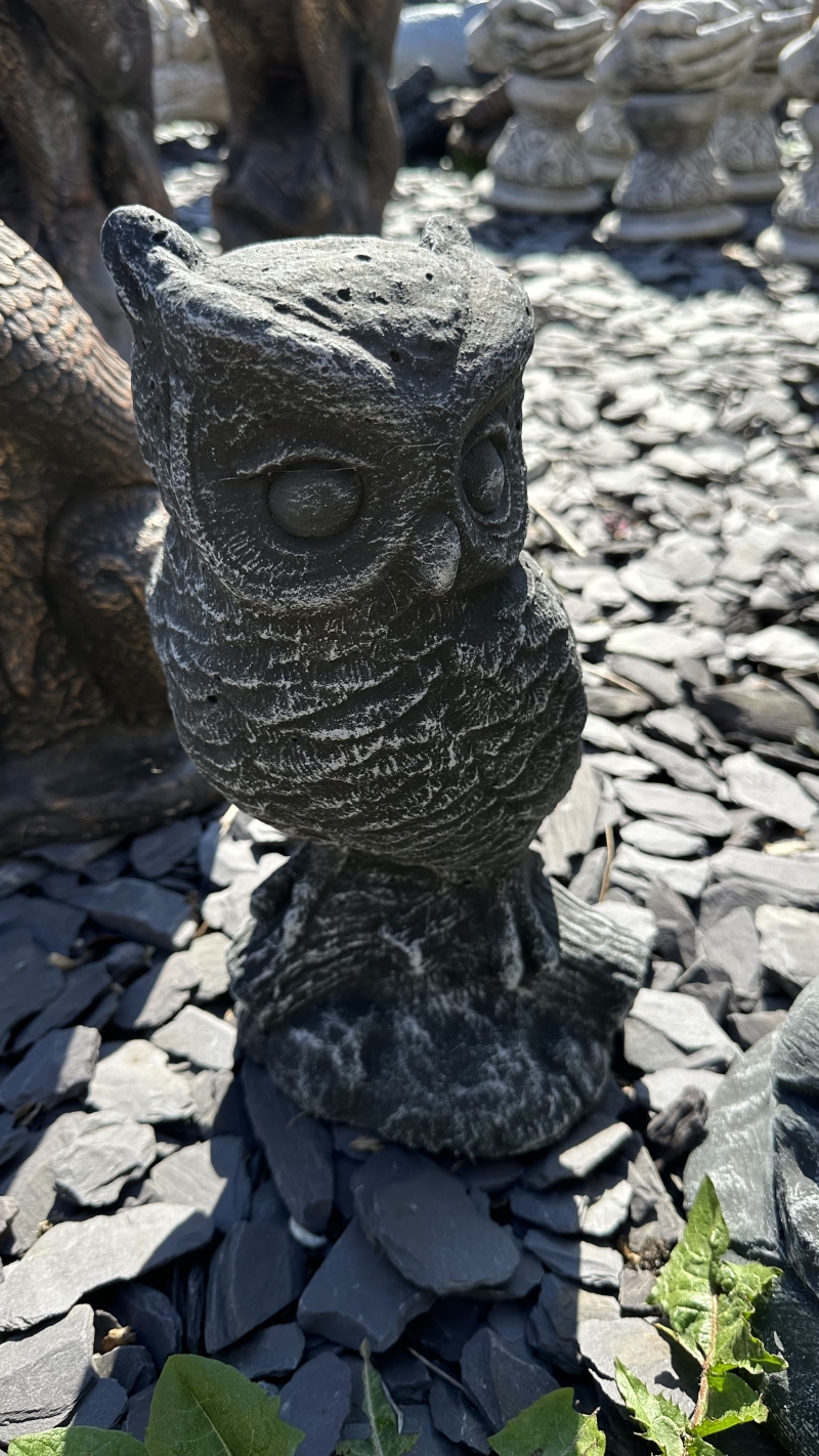 Great Horner Owl