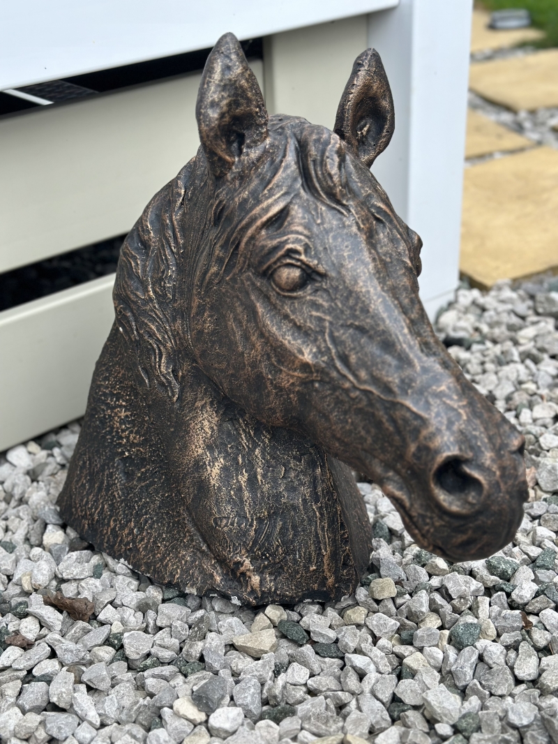 Horse Head