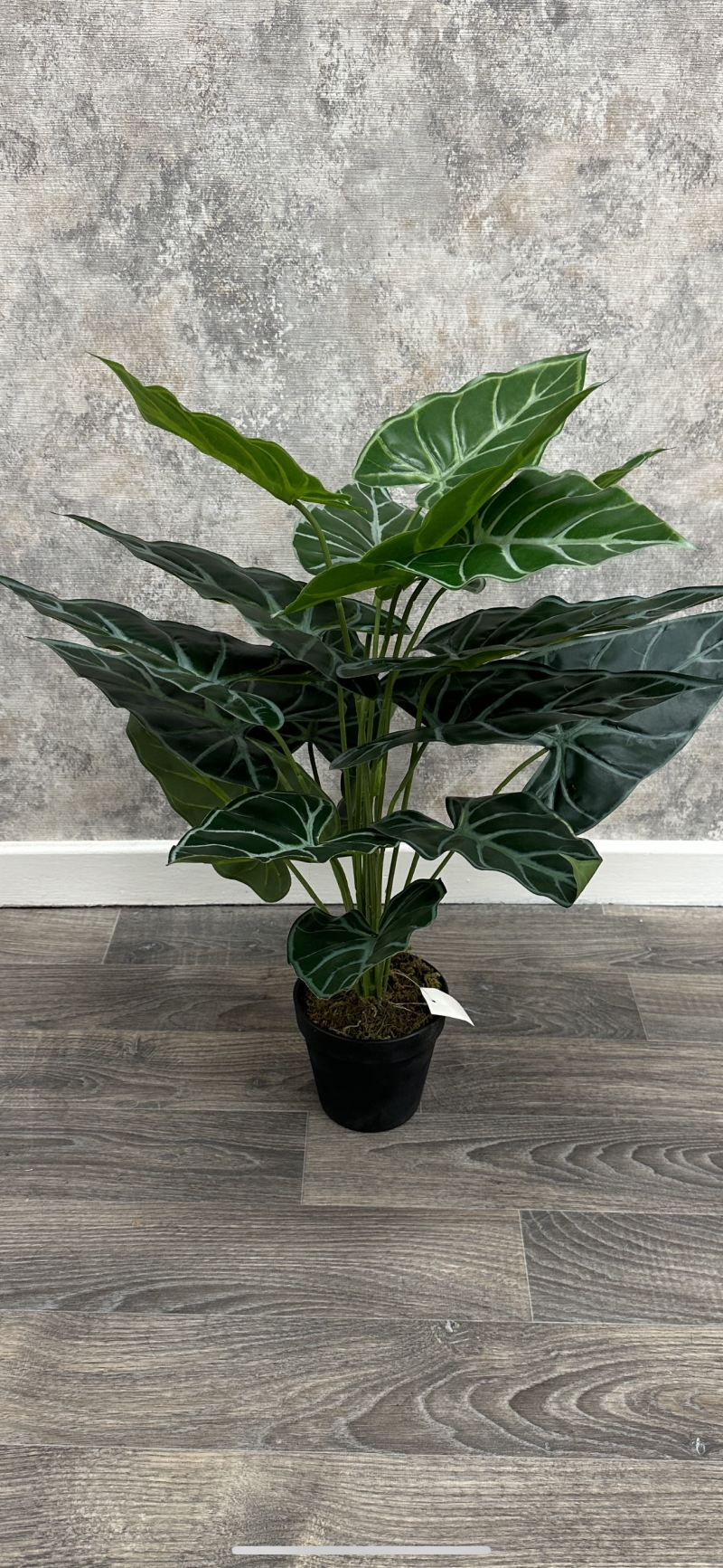 Indoor Artificial Plant