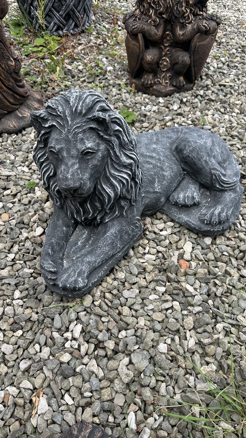Laying down Lion