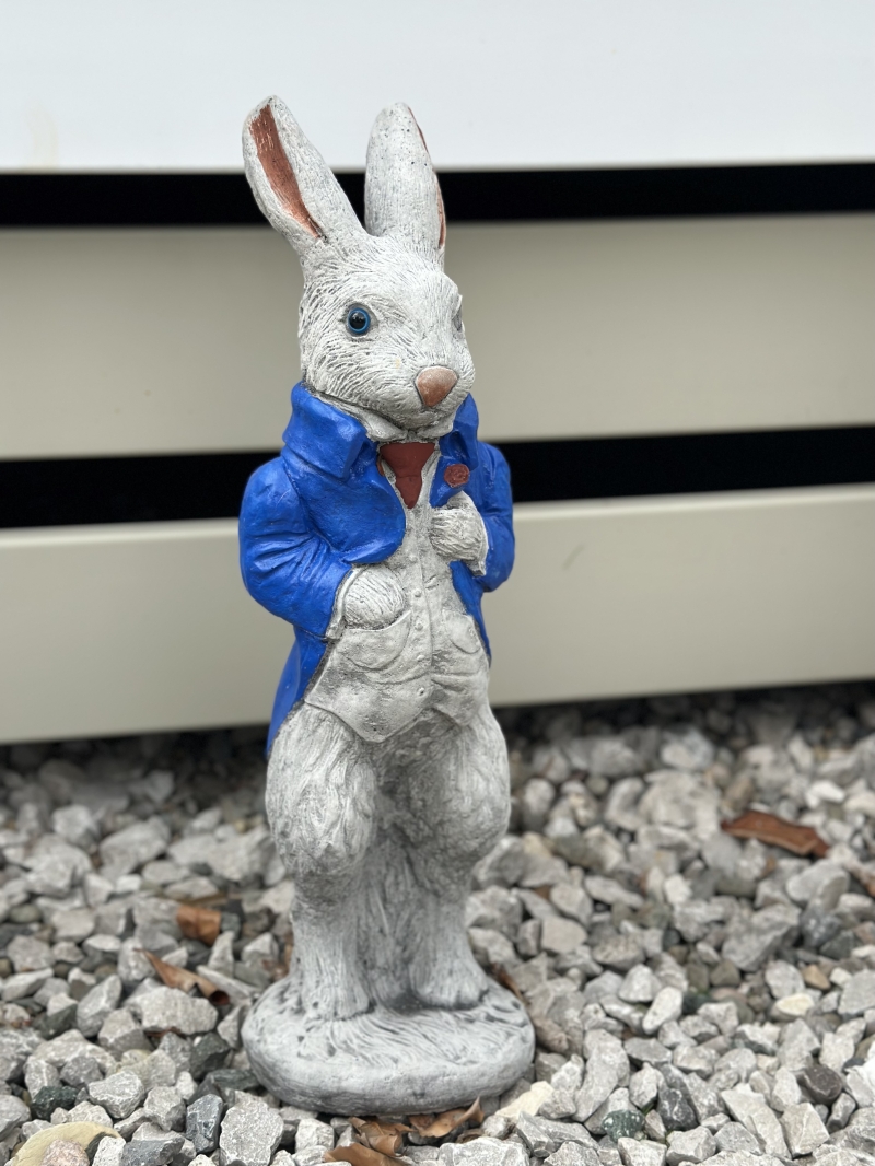 Peter Rabbit blue Jacket