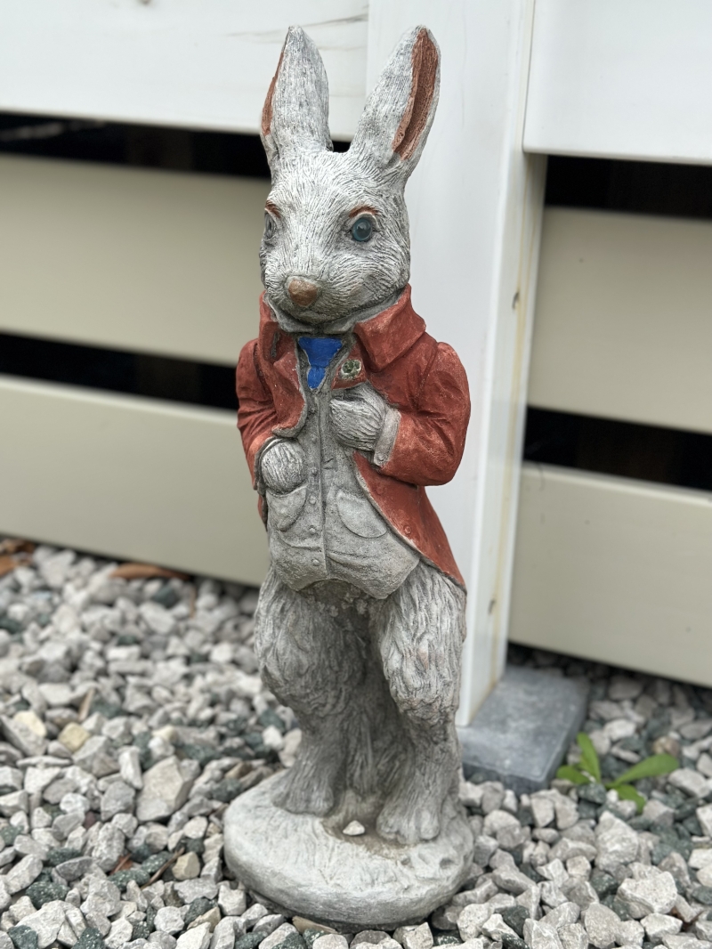 Peter rabbit Red Jacket