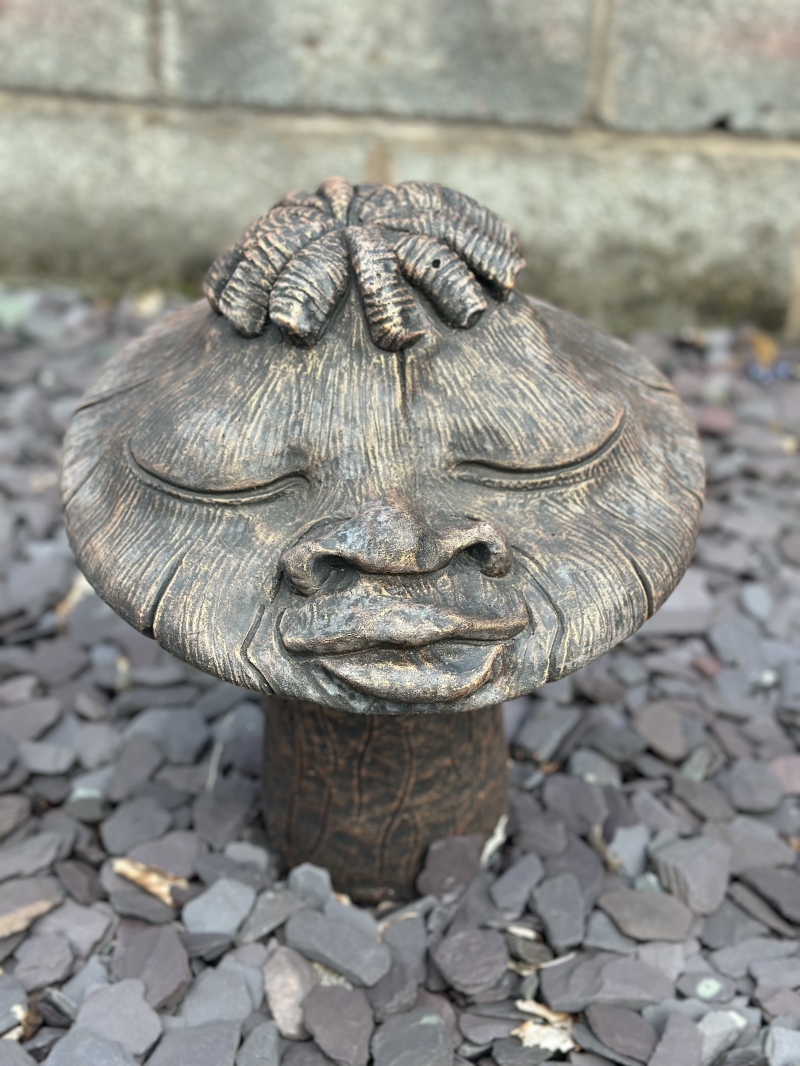Raggae Man Mushroom