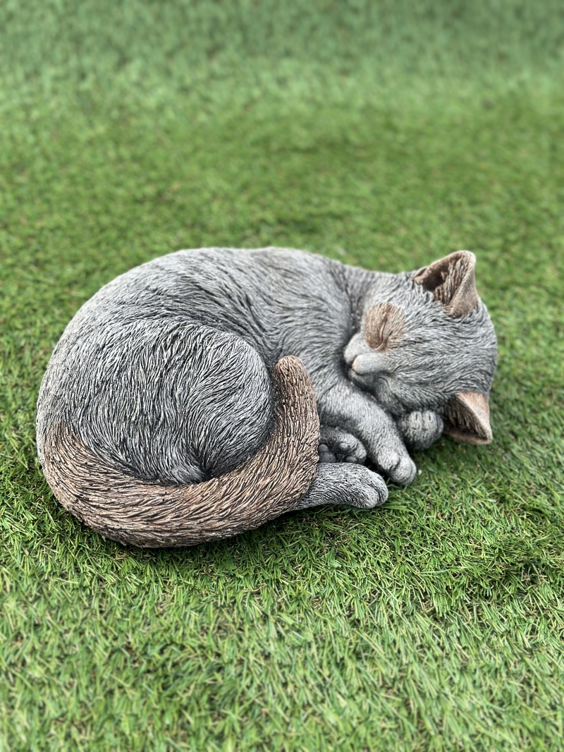 Sleeping Cat