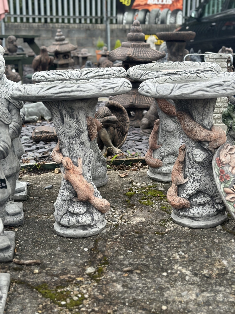 Squirrel Bird Bath