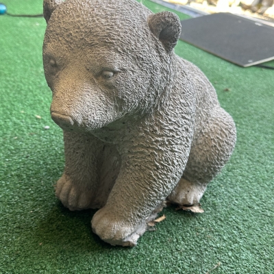 Baby Bear 