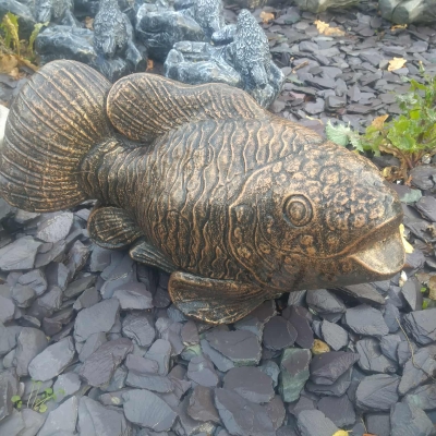 bronze fish