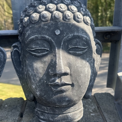 Buddha head plague 