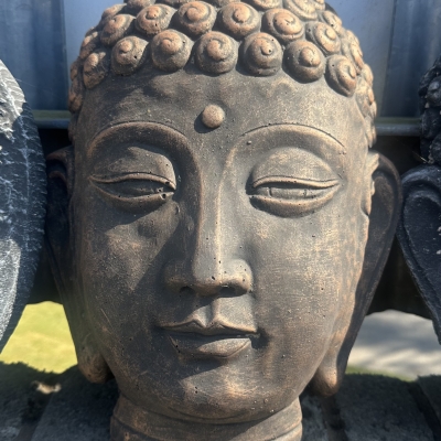 Buddha plague 