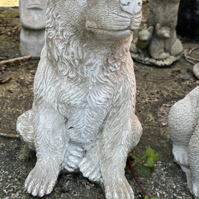 Chilling Bear 