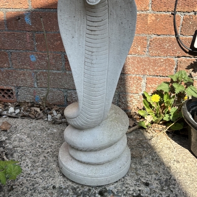 Cobra Snake 