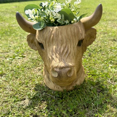 Cow Head Panter 