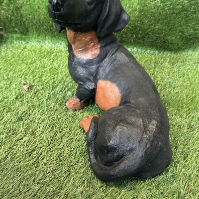 Dash Hound 