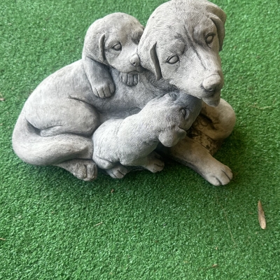 Dog Family 