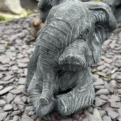 Elephant 