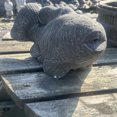 Fish 