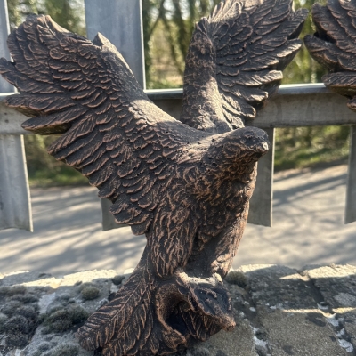 Flying bird 