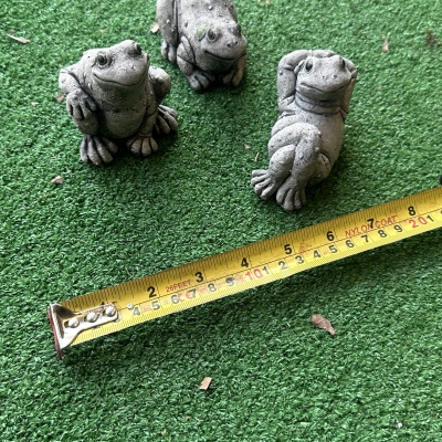 Frog Set 