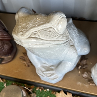 Giant Frog 