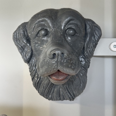 Grey Dog 