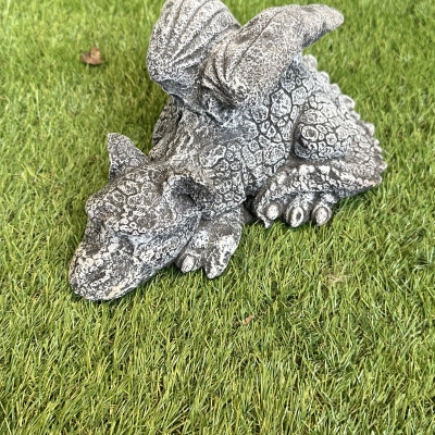 Grey Sleeping Dragon 