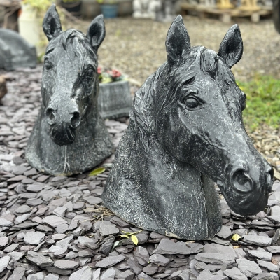Horse Head 