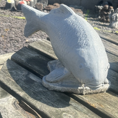 Large Fish 