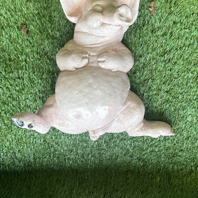Lazy pig 
