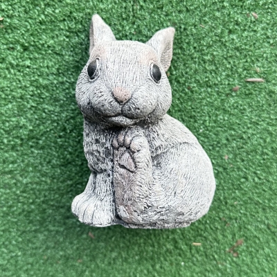 Little Bunny 