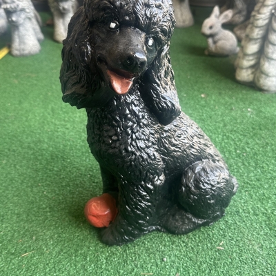 Poodle & Ball 