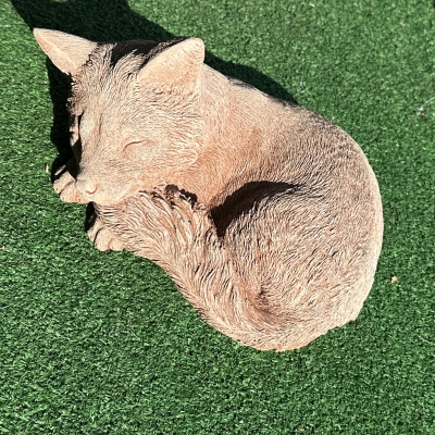 Sleeping Fox 