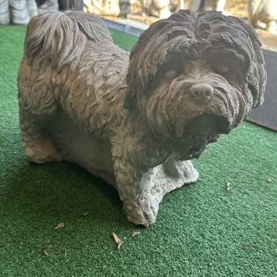 Small Dog 