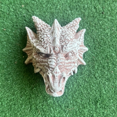Small Dragon face 