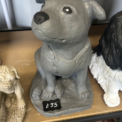 Staffy Dog 