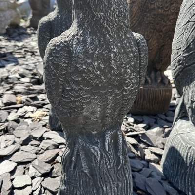 Stone Finish Hawk 