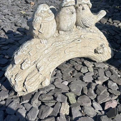 Three Birds on Tree 