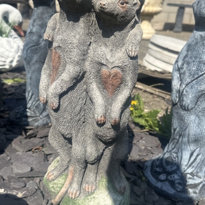 Three Meerkats 