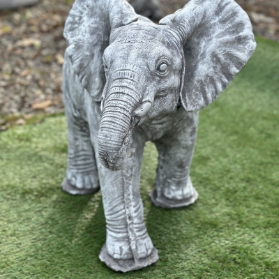 Walking Elephant 