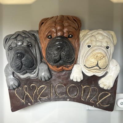 Welcome Dog 